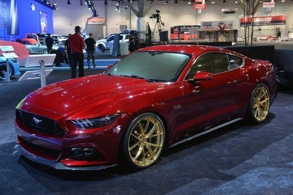Ford Mustang Customs