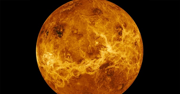 Российская академия наук показала целую галерею снимков с Венеры. И там явно что-то шевелится: 
