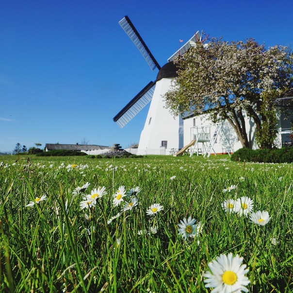 Дания // Aarsdale Windmill