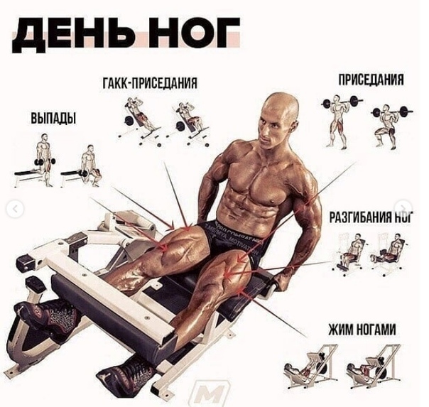 Упражнения на все группы мышц